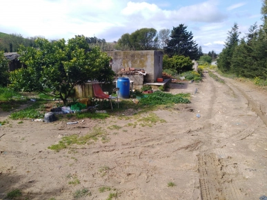 Ferme arborée 4ha