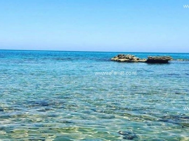 En promotion un terrain à plage Dar Allouch kélibia