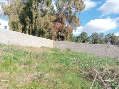 A vendre terrain Hammamet Nord A vendre terrain Hammamet Nord