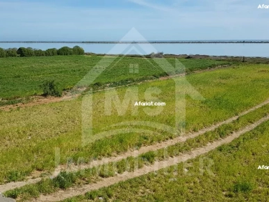 à vendre un superbe terrain à korba