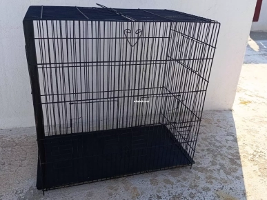 مسرح عصافر.   50/50×30