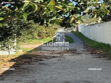 À vendre 4 lots de terrain à Hammamet Zone Craxi