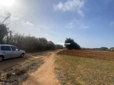 terrain agricole à vendre