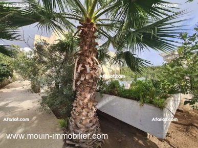 VILLA LIMA Hammamet Nord I AV1751