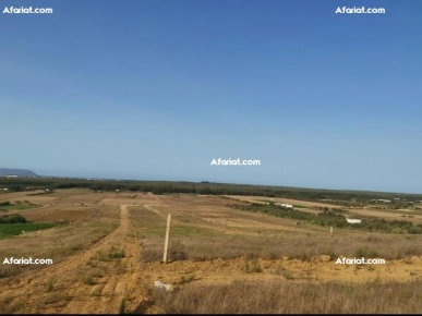 terrain a vendre 28.910817