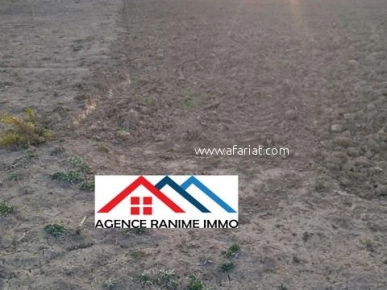 Terrain agricole de 6 hectares a el haouaria cap bon