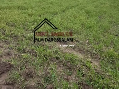 terrain près de la mer