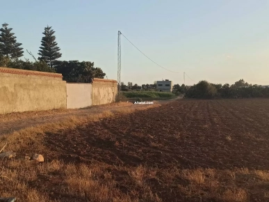 Affaire à ne pas rater Terrain a daroufa Maamoura Nabeul 1022m²