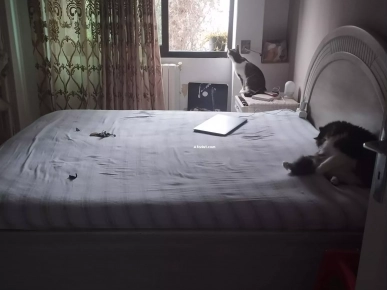 à vendre chambre à coucher en bois