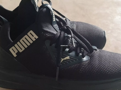 puma d'origine