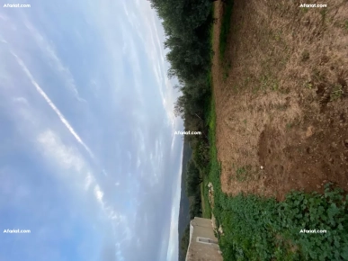 Terrain de 6000m² à Vendre – Takelsa Rtiba