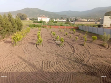 Terrain avec villa non fini
