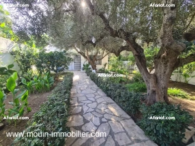 MAISON MAYA Zone Théâtre Hammamet AL2364 MAISON MAYA Zone Théâtre Hammamet AL2364