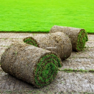 vente et pose trois teypes gazon naturelle vente et pose trois teypes gazon naturelle