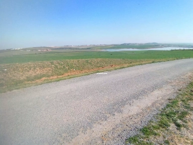 Vente terrain Manouba Vente terrain Manouba