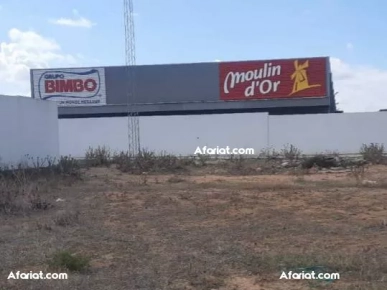 Lots industriels à vendre – Jbel El Ouest, Zaghouan 