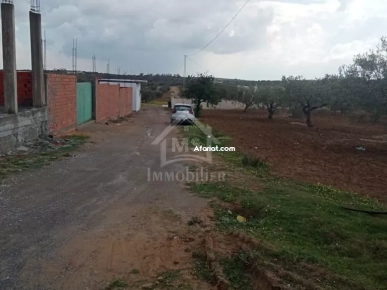 Lot de terrain de 200 m² à Hammamet Sud à vendre 51355351