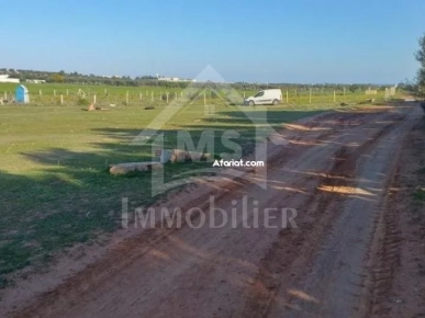 UN TERRAIN 1000M² À VENDRE À HAMMAMET SUD