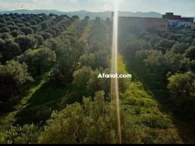 قطعة أرض للبيع 500م