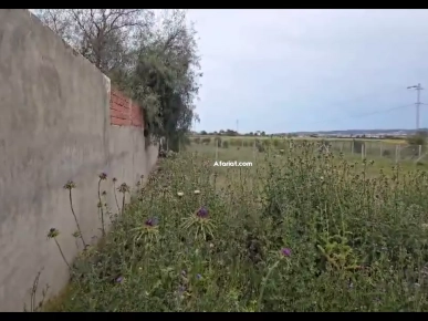 Un terrain de 1000m2 sur la route principale sidi younes