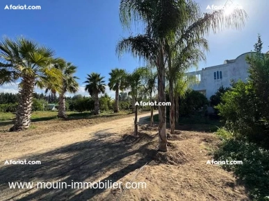 Ferme Beni Khaled II T1225 Nabeul