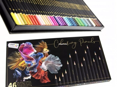 46 Crayons de couleurs professionnels