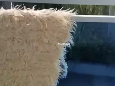 VEND APPARTEMENT A NOTRE DAME