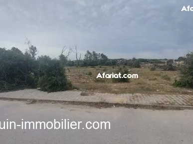 TERRAIN LAMISE Jinen Beni Khiar T1028