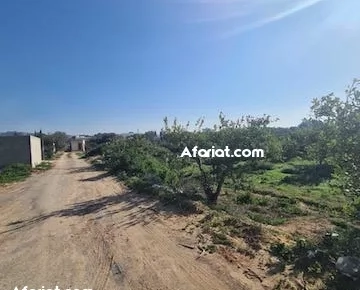 TERRAIN GINA I AV Hammamet Birbouregba T1085 TERRAIN GINA I AV Hammamet Birbouregba T1085