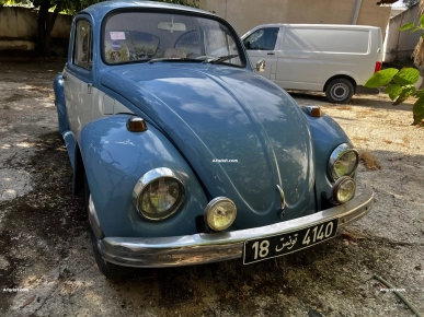 Avendre  coccinelle