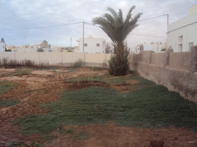 Terrain de 811 m² Route EL AIN km 2