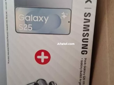 Samsung Galaxy S25 Gris