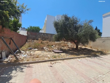 terrain a vendre Gammarth village