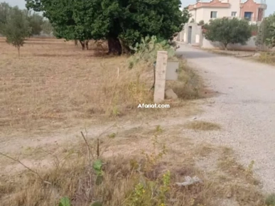 1400m² à vendre 10 minutes yasmine hammamet