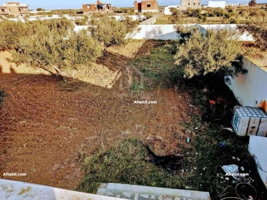 Un terrain de 2100 m² avec 1 studio à Hammamet Sud à vendre