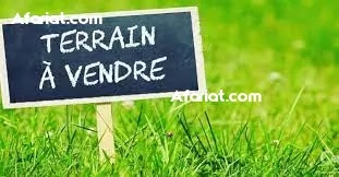 TERRAINS 2048 MÈTRE CARRE SFAX TERRAINS 2048 MÈTRE CARRE SFAX