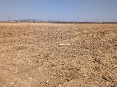 Avendre- Terrain agricole nue 12.5ha a Enfidha