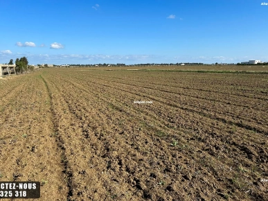 Terrain Agricole à vendre à Chorfech, Sidi Thabet