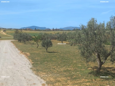 Terrain à vendre avec vue de mer panoramique