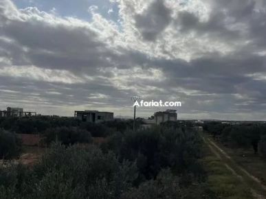 TERRAIN CLAUDIA Douikhla Hammamet Sud T1219