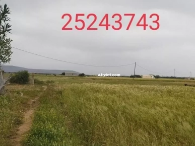 un terrain agricole a El haouaria superficie 19180m²