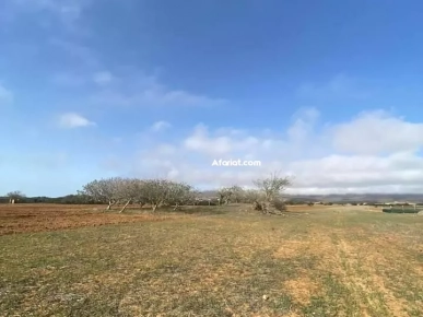 terrain agricole à vendre