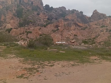 À Vendre – Terrain de 3,5 Hectares avec Gisement de Marbre – Proc