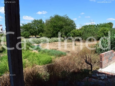 duplex inachevé a soukra