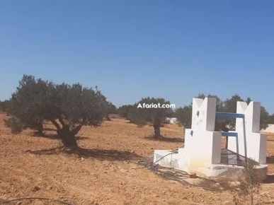 Terrain Titre Bleu Aghir Djerba