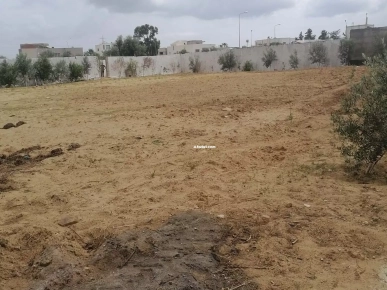 Soukra chotrana 3 coté restaurant el firma