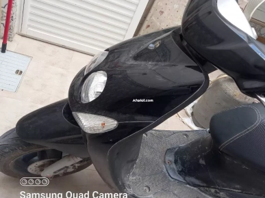 vendre ovetto
