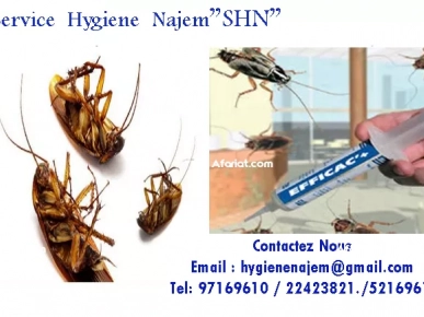 traitement cafards traitement cafards