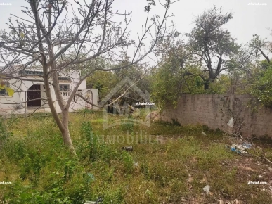 à vendre un terrain 278m² à HAMMAMET