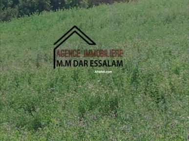 des lots de terrain près de la mer